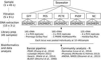 Evaluation of Filtration and DNA Extraction Methods for Environmental DNA Biodiversity Assessments across Multiple Trophic Levels